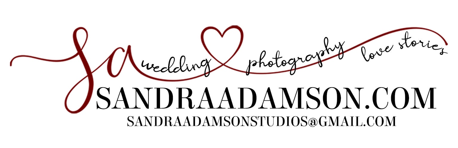 website header sandra adamson